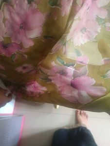 Beautiful Saree
