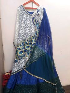 Peacock Theme Gown...