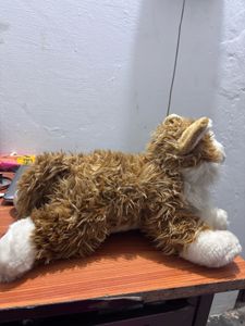 Cat Doll