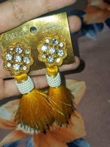 A Pretty Earring