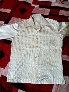Striped Shirt