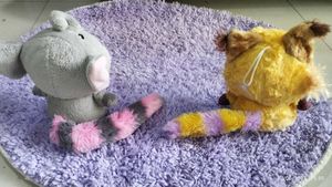 Combo Of Two Cute Toys