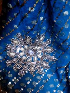 डॉलर बटा साड़ी