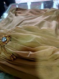 Elegant Beige Chiffon Dress