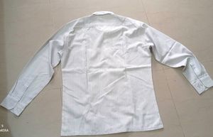 Price Drop Shirt