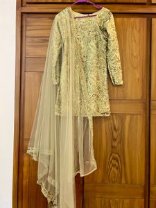 Elegant Pakistani Dress