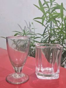Two Unique Shorts Glass
