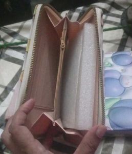 Clutch/Wallet