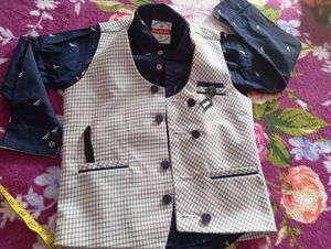 Party Wear Suit