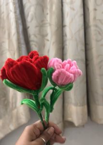 Rose 🌹