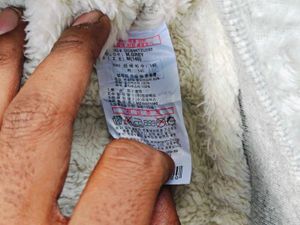 DICKIES FURREE HOODIES FOR KIDS