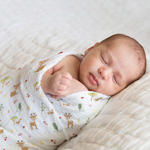 haus &amp; kinder Muslin Swaddles – Pack of 3