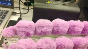 Fuzzy Purple Clutch