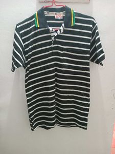 Striped Polo Shirt