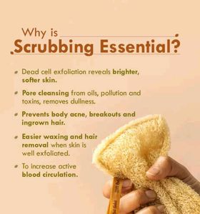 Nat Habit (Natural Sun-dried Loofah Body Sponge)