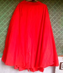 Festive wear Long Ethnic Skirt With Velvet Crop To