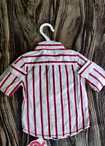 Striped Button-Down Shirt