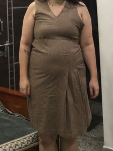 Brown Winter Dress