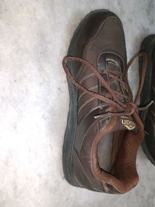 Asian Exclusive Brown Casual Shoes