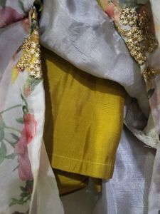 Beautiful Organza Suit Set