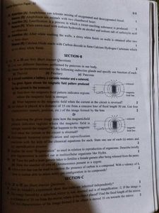 75 Days Challenge Science Class 10th CBSE