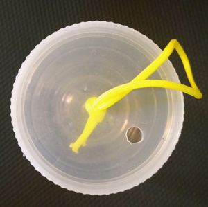 Hanging Bottle For Betta Fish