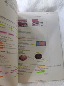 MARROW EDITION 4 PEDIA &amp; DERM