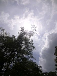 SONY DSC-WX50 DIGITAL CAMERA