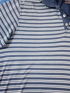 Allen Solly  Blue  And White  Stripe Polo T Shirt