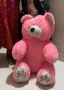 Pink Teddy For Kids