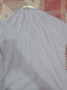 Striped Dress Shirt with White Collar