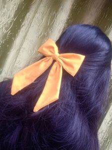 Hair Clip