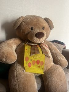 Big Size Teddy