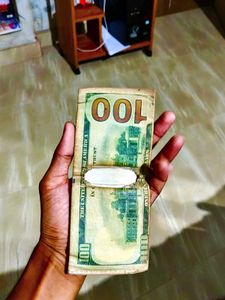 Novelty 100 Dollar Bill Wallet