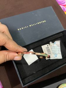 Daniel Wellington Petite Watch
