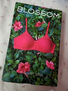 Blossom Bra Soft Grey Colour