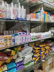PET SHOP ALL CATEGORIES