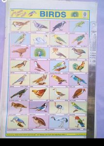 School Project Sticker