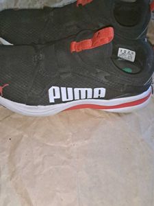 Puma Light Weight Sport Shoes