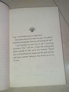 The Summer I Turned Pretty