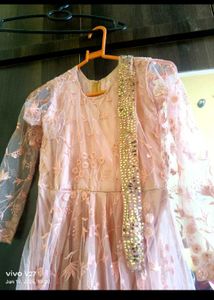 Elegant Ethnic Gown