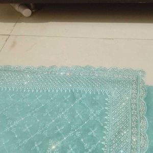 Embellished Saree