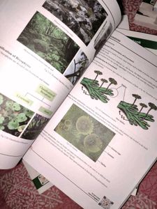 Neet UG Preparation Modules Class 11