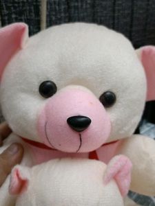 2 In 1 Teddy Bear