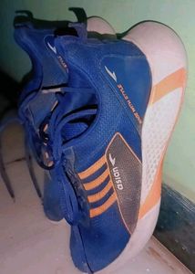 Asian Sport Shoes