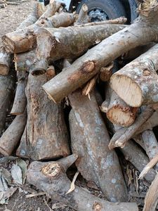 Firewood For Home And Commercial Use