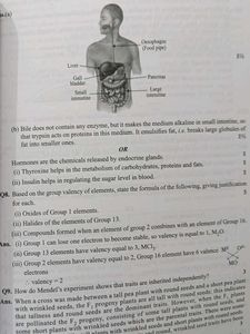 Super 20 Science Sample Papers for Class 10