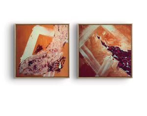 Combo Abstract Fish Paintings