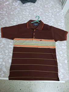 Striped Polo Shirt