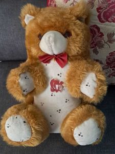 Teddy Bear Soft Toys